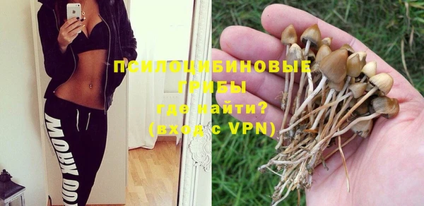 соль ск Алексеевка