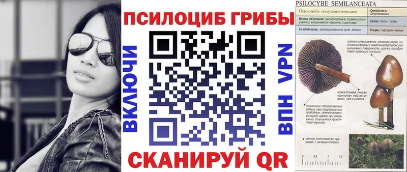 цены   Вилюйск  Галлюциногенные грибы прущие грибы 